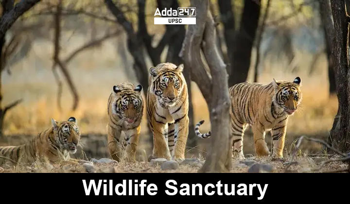 Wildlife Sanctuary