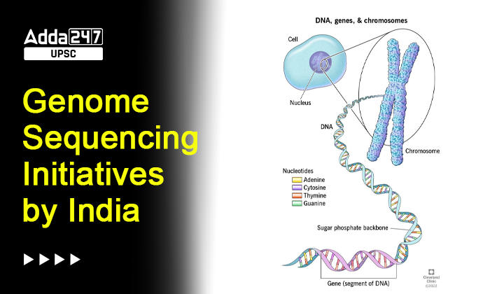 Genome Sequencing Meaning, Definition and Understanding