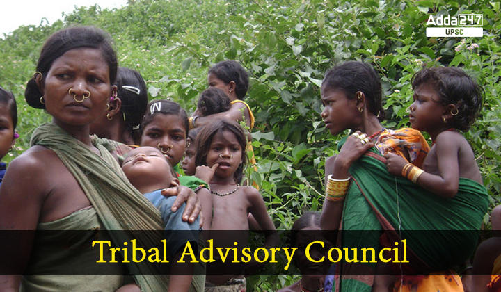 Tribal Advisory Council