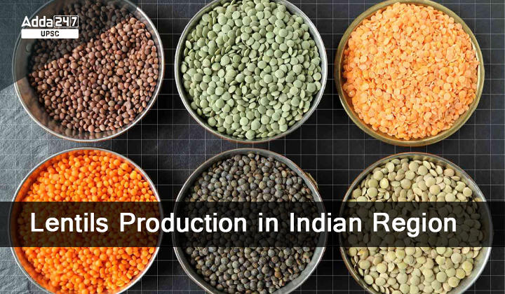 lentils production in Indian Region, Cultivation and Productions