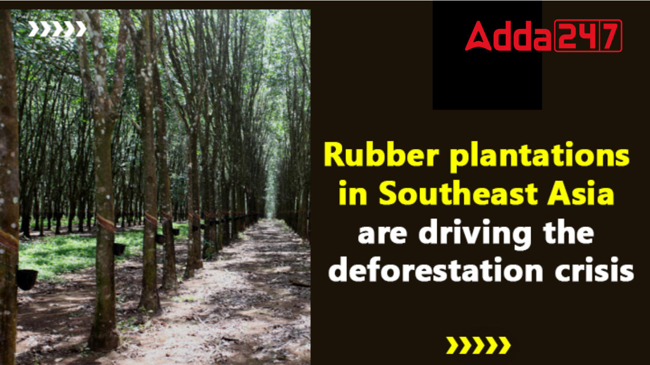 Rubber Plantations in Southeast Asian