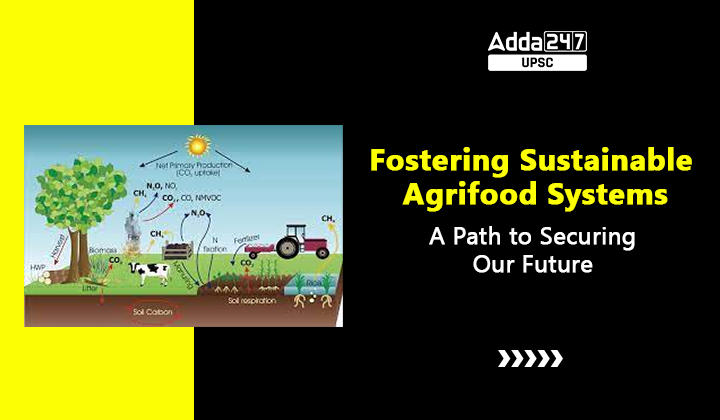 Sustainability in Agrifood Systems