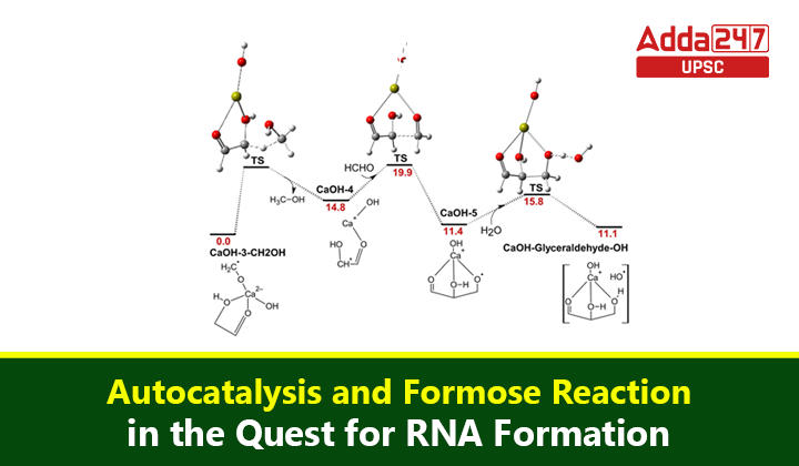 RNA Formation
