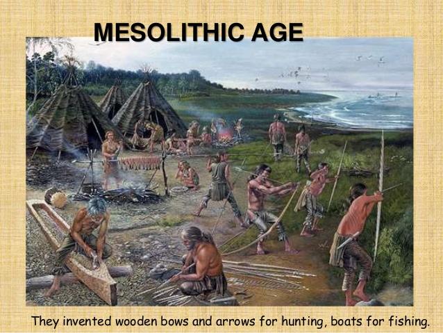 Mesolithic culture