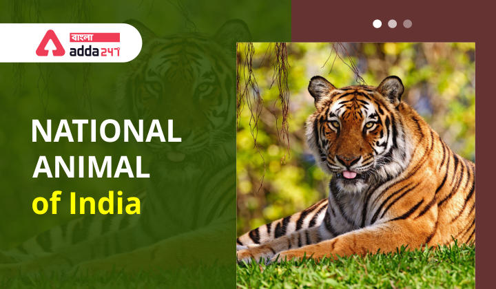National Animal Of India