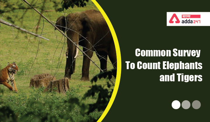 Common Survey to Count Elephants and Tigers