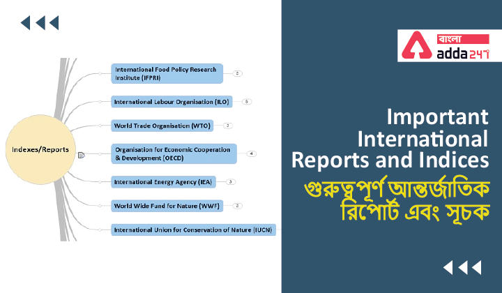 Important International Reports and Indices