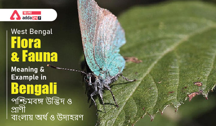 West Bengal Flora and Fauna: Meaning and Example in Bengali | পশ্চিমবঙ্গ উদ্ভিদ ও প্রাণী: বাংলায় অর্থ ও উদাহরণ