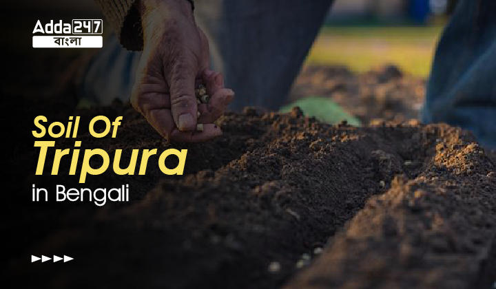 Soil Of Tripura in Bengali | ত্রিপুরার মৃত্তিকা
