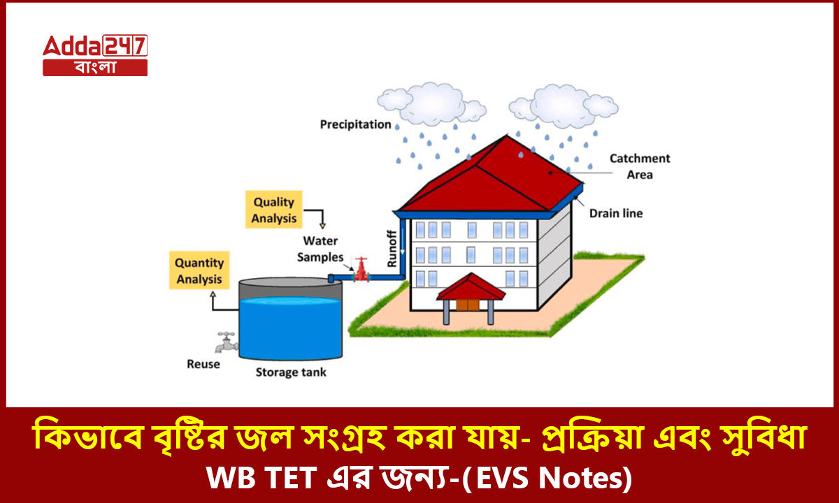 কিভাবে বৃষ্টির জল সংগ্রহ করা যায়- প্রক্রিয়া এবং সুবিধা, WB TET এর জন্য-(EVS Notes)