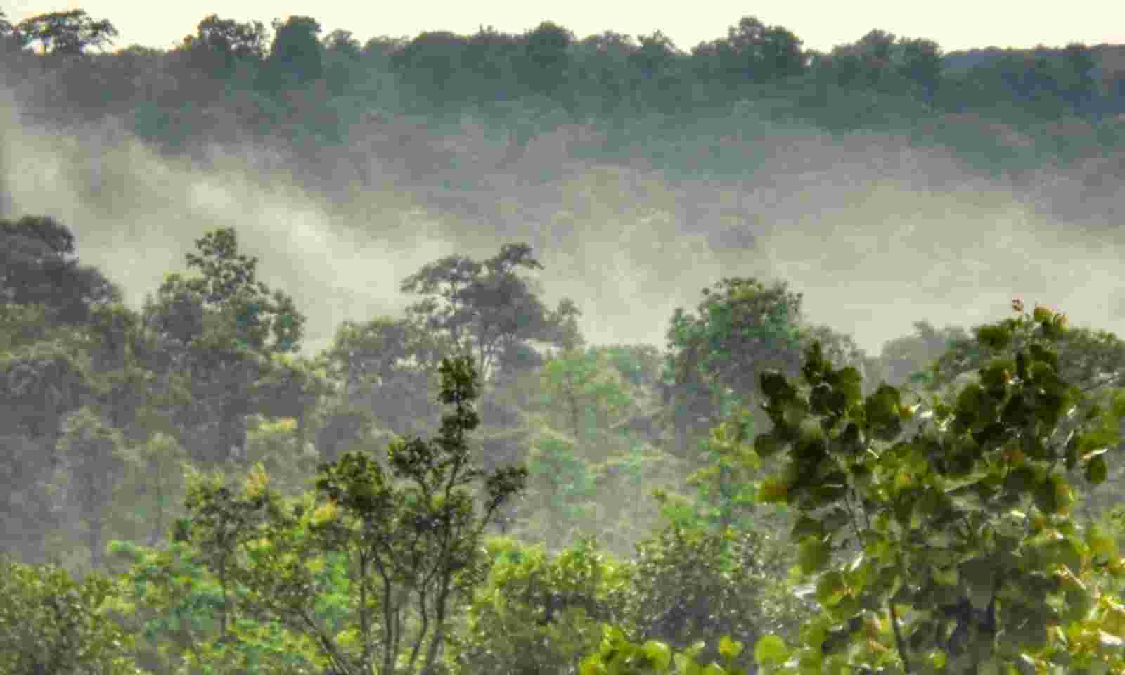 Chhattisgarh becomes 1st state to recognise Forest Resource Rights