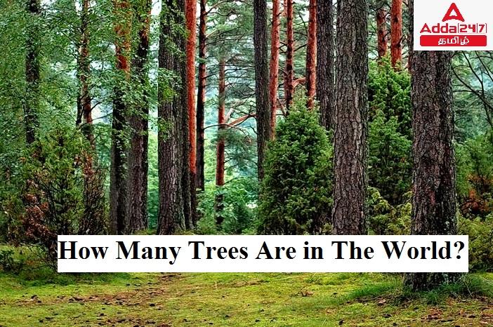 How Many Trees Are in the World? By Country & Continent_20.1