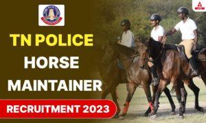 TN Police Horse Maintainer