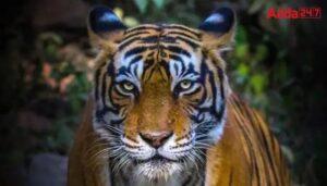 UP’s Ranipur Tiger Reserve