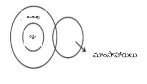 Reasoning MCQs Questions And Answers In Telugu_17.1