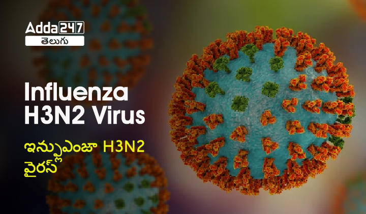 Influenza H3N2 Virus