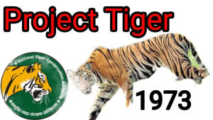 project tiger (1)