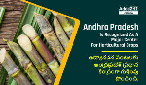 Andhra Pradesh Is Recognized As A Major Center For Horticultural Crops