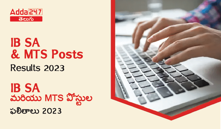 IB SA and MTS Posts Results 2023-01