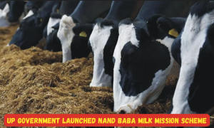 UP Government launched Nand Baba Milk Mission scheme