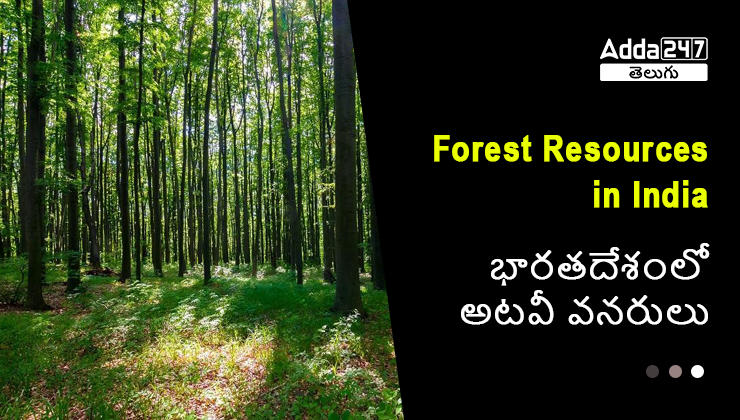 Forest Resources in India