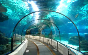 Assam-underwater-tunnel