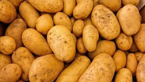 India Permits Potato Imports From Bhutan Till June 2024