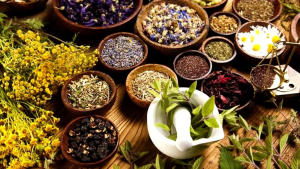 India-to-host-ASEAN-Countries-Conference-on-Traditional-Medicines