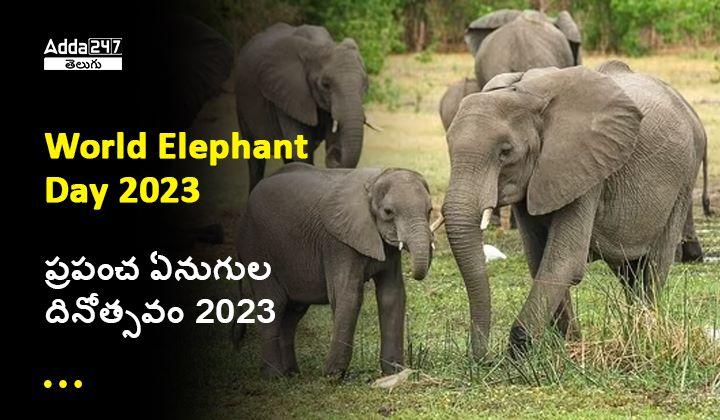 world elephant day 2023