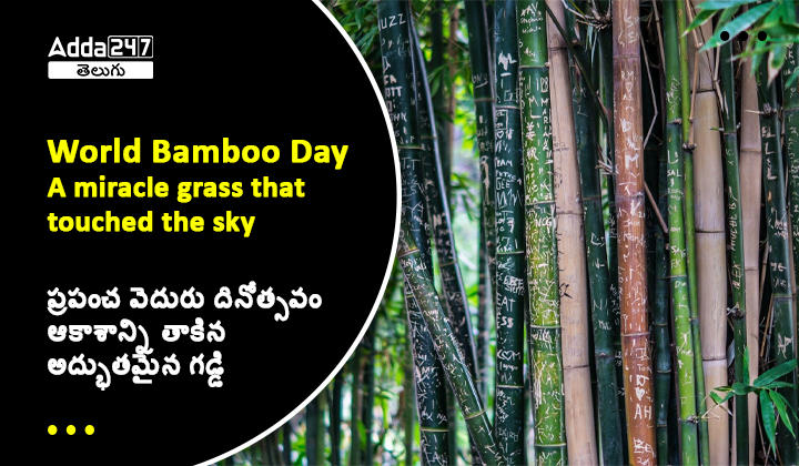 world bamboo day 2023