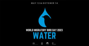 World Migratory Bird Day (WMBD) 2023 Date, Theme, Origin and Interesting Facts