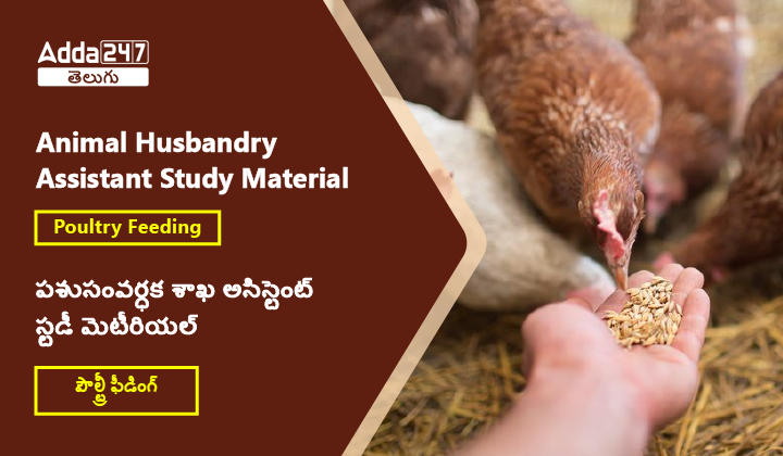Animal Husbandry Assistant Study MateriaL Poultry Feeding