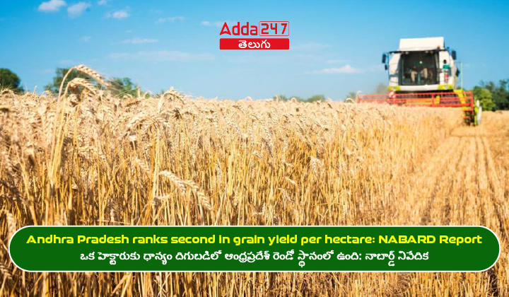 Andhra Pradesh ranks second in grain yield per hectare NABARD Report
