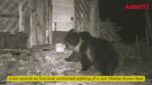 India records its first-ever confirmed sighting of a rare Tibetan Brown Bear 