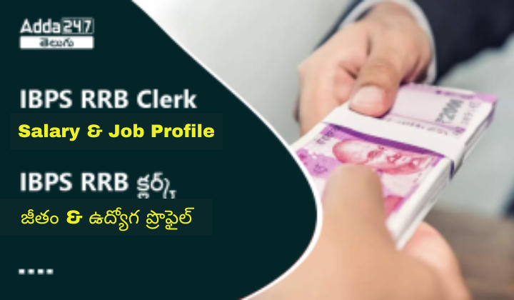 IBPS RRB Clerk Salary 2024, Job Profile