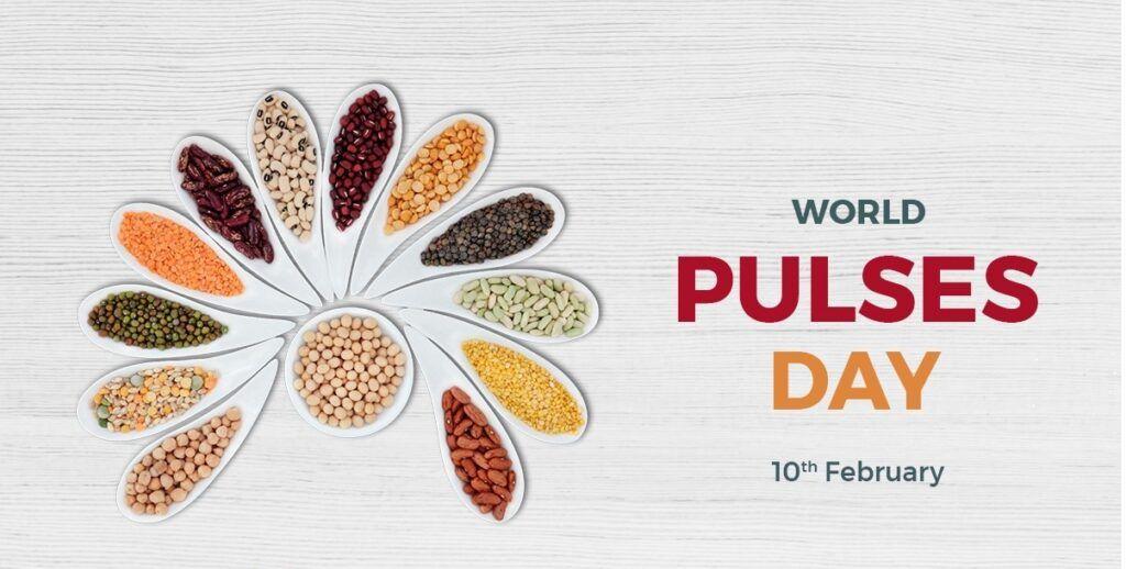 World Pulses Day 2022: Observed On 10 February | जागतिक कडधान्य दिन 2022: 10 फेब्रुवारी रोजी साजरा केला जातो