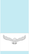 Ranks in Indian air force_13.1