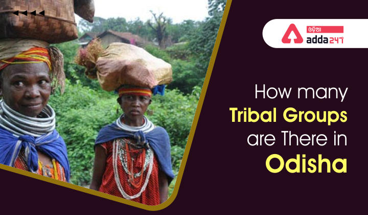 How many tribal groups are there in Odisha