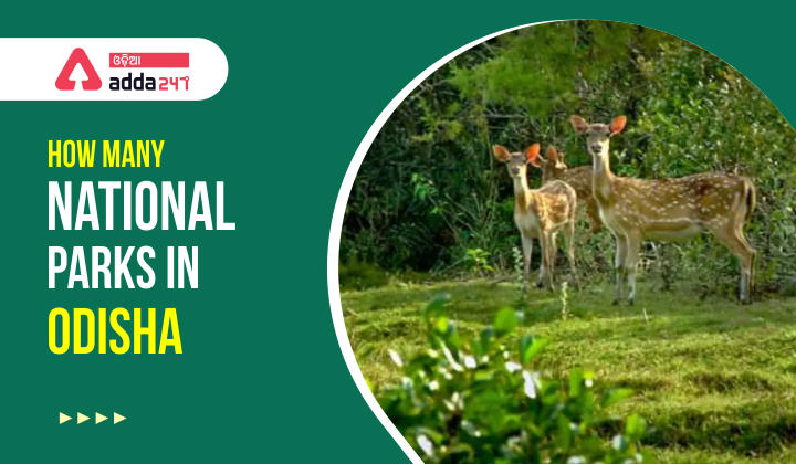 How many national parks in Odisha