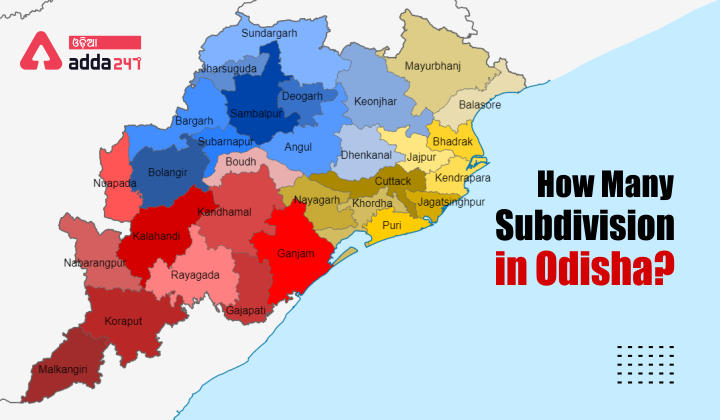 How many subdivision in Odisha