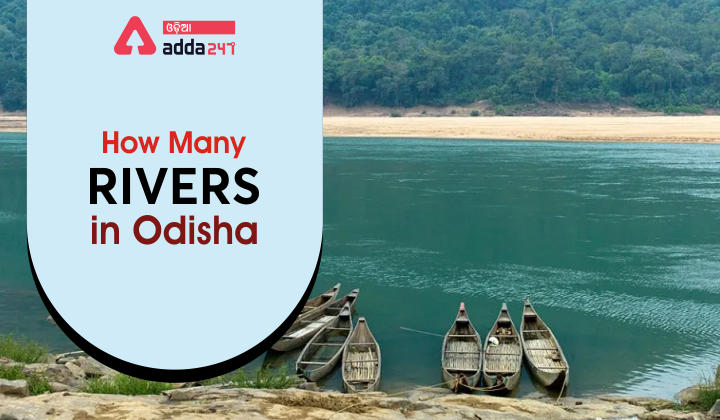 How many rivers in Odisha