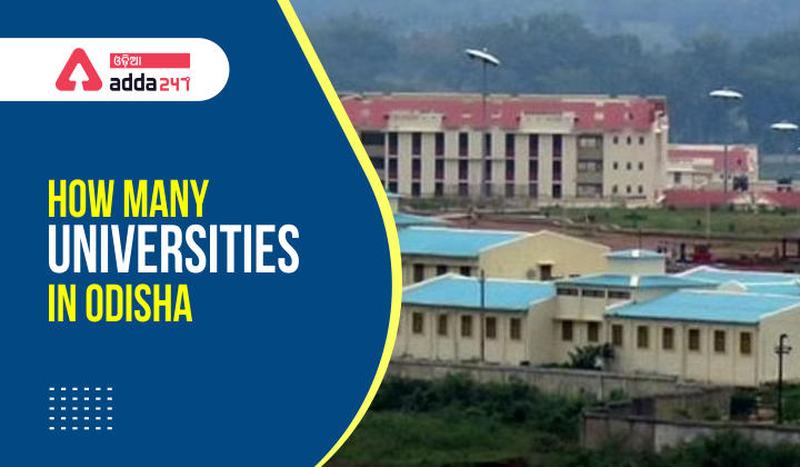 How many universities in Odisha