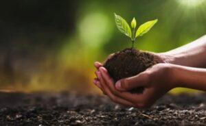 International Day of Plant Health observed on 12th May 2022