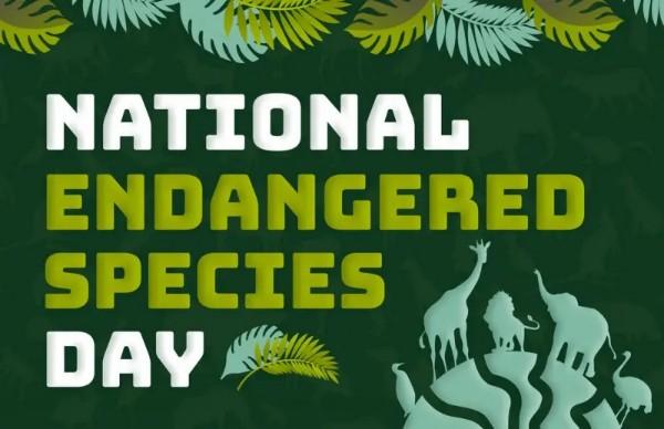 National Endangered Species Day 2022-20th May