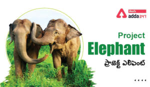 Project Elephant Complete Details, Elephant Reserves in India |  ప్రాజెక్ట్ ఎలిఫెంట్ 
