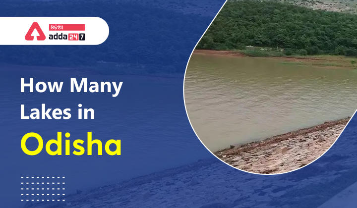 How many lakes in Odisha