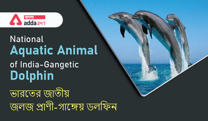 National Aquatic Animal of India-Gangetic Dolphin | ভারতের জাতীয় জলজ প্রাণী-গাঙ্গেয় ডলফিন