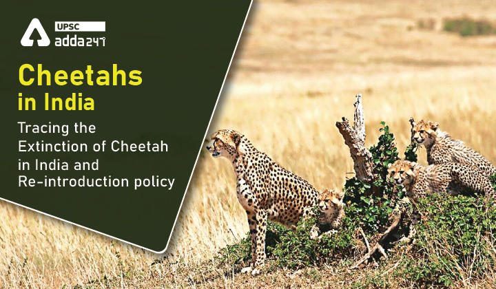 cheetahs in India UPSC