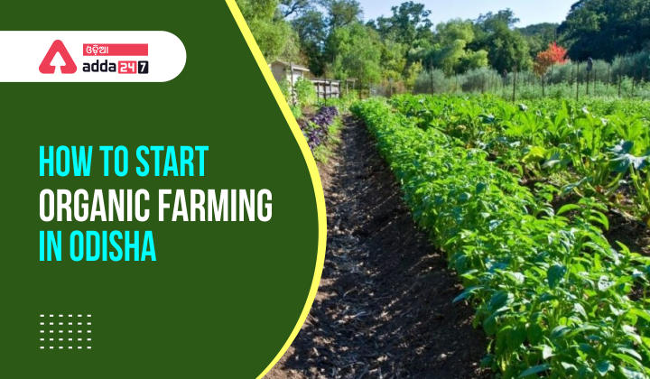 How to start organic farming in Odisha