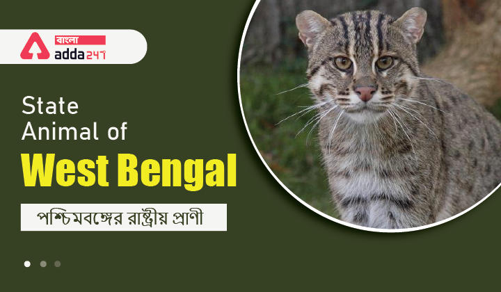 State Animal of West Bengal | পশ্চিমবঙ্গের জাতীয় প্রাণী